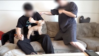 ソファに座る男性に軽くパンチをする飼い主