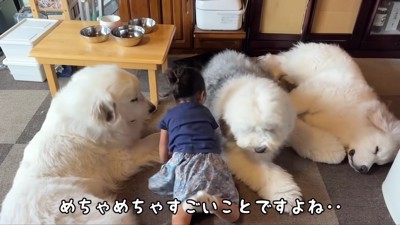 微笑ましい光景にホッコリ