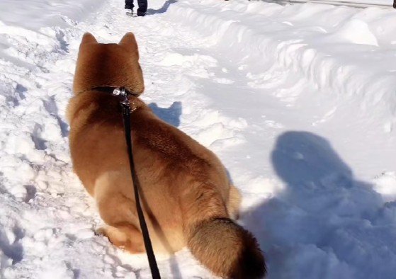 お別れのとき…