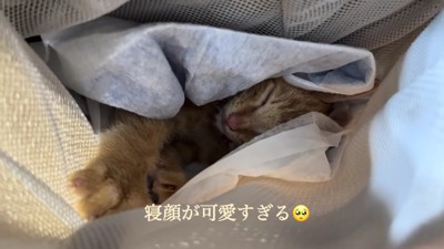抱っこ紐でスヤスヤ