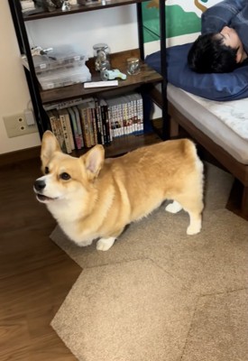 「起きてー!!」