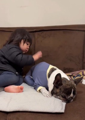 散歩に誘う娘さん