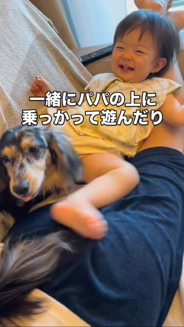 一緒にパパの上に乗って遊ぶ子どもと犬
