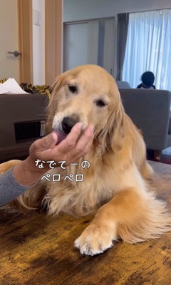 サンちゃんの熱烈歓迎8