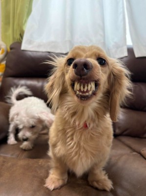 他の子に「可愛い」と言うと激怒