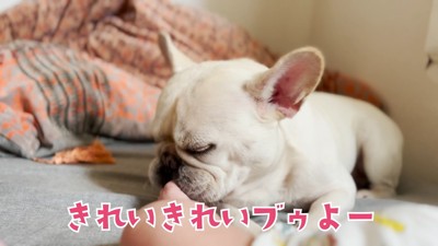 「キレイにしてあげるね♪」