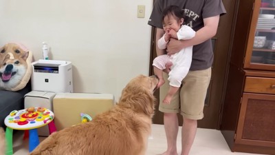 「おやすみだよ」