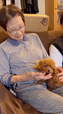 遠くを見つめる犬を撫でる女性