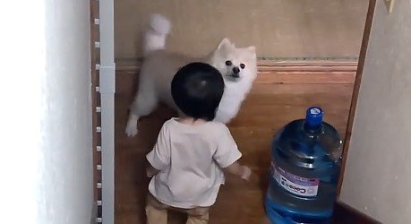 ぽちゃ子ちゃんにバレてる…!