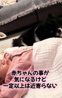 一定の距離を保っているそう