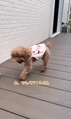 お父さんの帰りを待つティナちゃん3