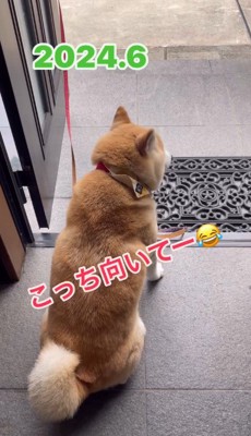 ビッグサイズに！