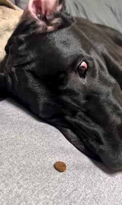 狙いを定めて…