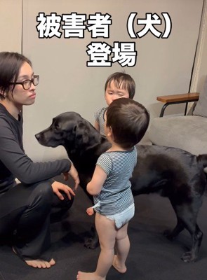「もう許してあげて」