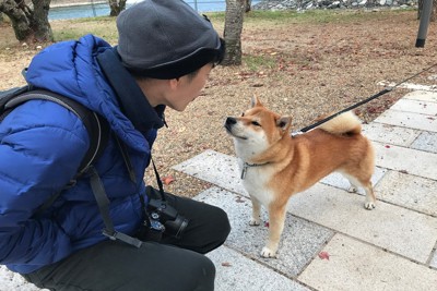 犬に挨拶する人