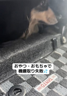 プイッ!!