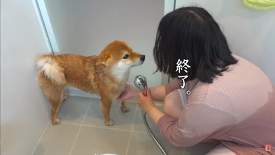 無事にシャンプー終了♪