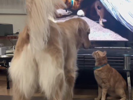 2匹はとっても仲良し♡