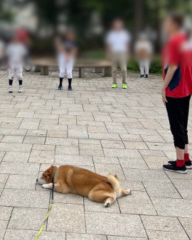 貫禄を感じます…!