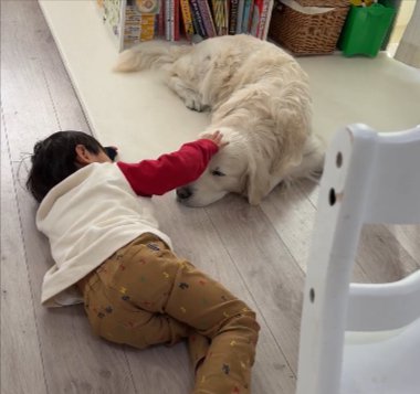 穏やか
