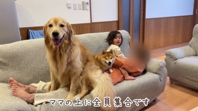 おからちゃんも仲間入り！