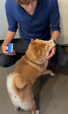 ぽんた君の変化6