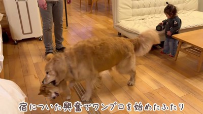 宿に着くとワンプロ開始！！