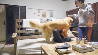 男性を踏む犬と立つ女性