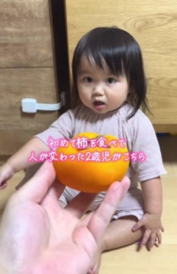 初めて柿を見たみーちゃん