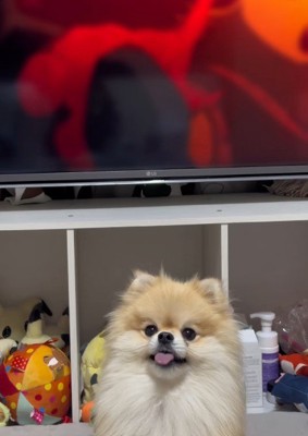 テレビの前で舌をピロピロ♪