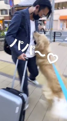 男性に飛びつく犬