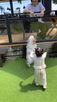 男性に向かって飛び跳ねる犬と、男性に向かって歩いて行く女の子