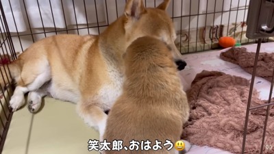 ママと戯れ中♡