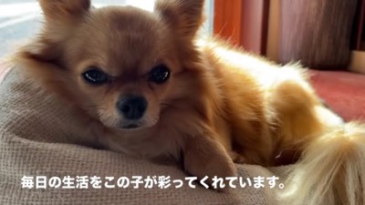 めぐり会えてよかった