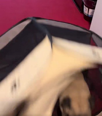 使い方が斬新！！