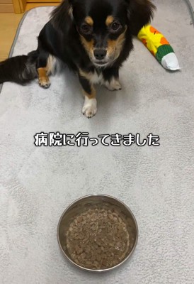 全然食べません!