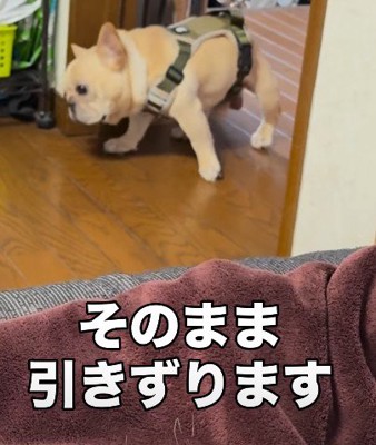 そのままズルズル…