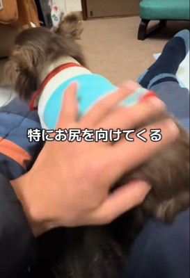 テープくんの変化6