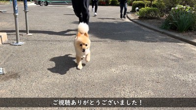 楽しそうに遊ぶ姿にほっこり♪
