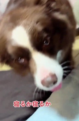 「さて寝るか」