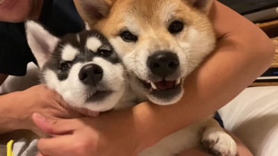 幼かった2匹が…