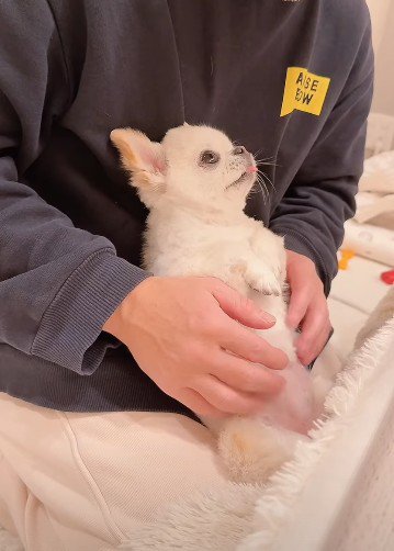 微笑ましい会話でした