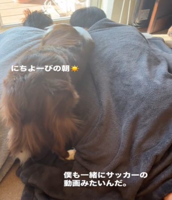 2人の間に入る犬1