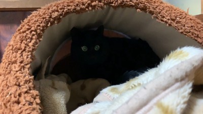 2匹入れるよう奥に詰める姿にキュン♡