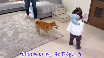 「それちょうだい！！」