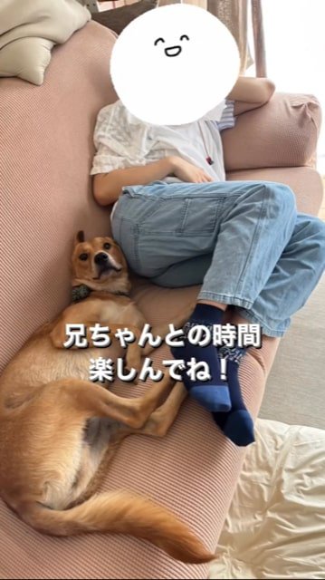 ソファーでお兄ちゃんとくつろぐ犬