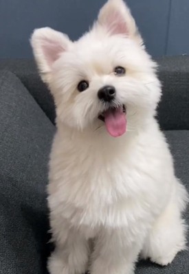 成長したぽぽちゃん1