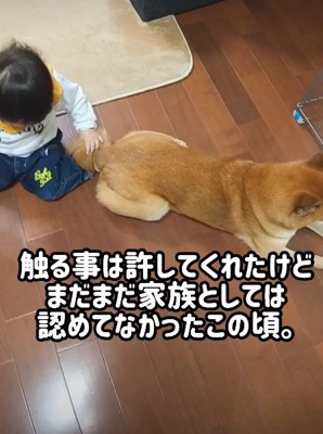 少しずつ縮まる距離