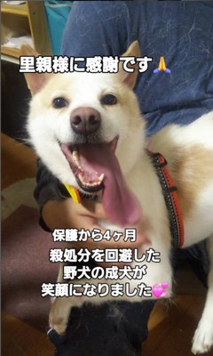 幸せを掴んだいっちゃん＆アロマちゃん9