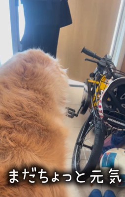 長男が出発すると…